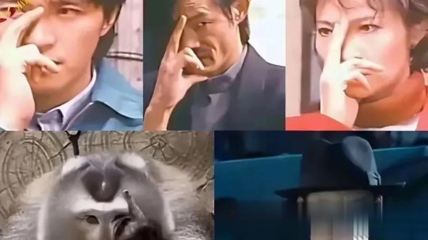 向佐新创网罗热词“杰是向左杰是向右”火爆全网